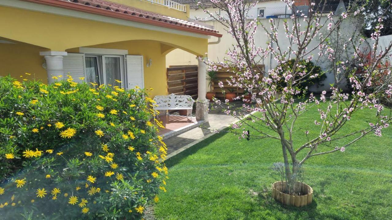 אובידוס Casa Das Palmas מראה חיצוני תמונה